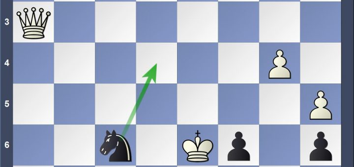 Schachaufgabe beim Kulturspektakel: Schachmatt in einem Zug!